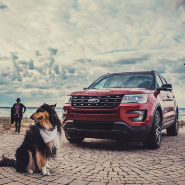 Babbitt Ford Lincoln Flagstaff, AZ Action Local AZ