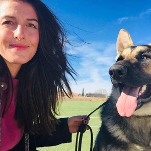 Prescott Valley Dog Squad Prescott Valley Az Action Local Az