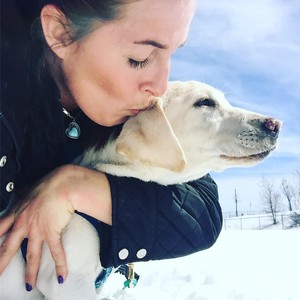 Prescott Valley Dog Squad Prescott Valley Az Action Local Az